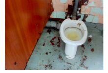 Photo of Интернет ужаснули ФОТО для конкурса Domestos на худший школьный туалет. В соцсетях шутят: теперь компанию признают «нежелательной» в РФ