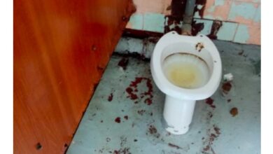 Photo of Интернет ужаснули ФОТО для конкурса Domestos на худший школьный туалет. В соцсетях шутят: теперь компанию признают «нежелательной» в РФ